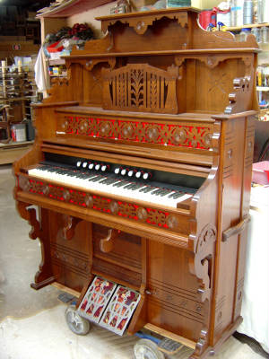 ORGAN.jpg